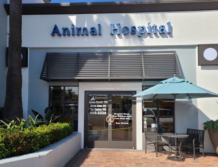 Marina Hills Animal Hospital front door